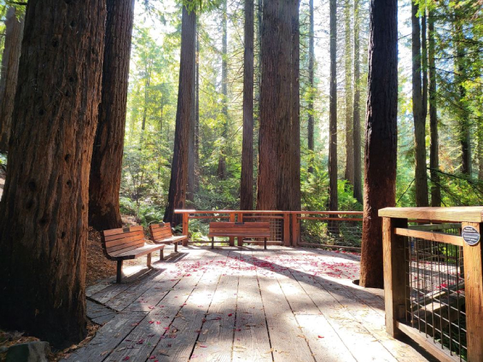 Hoyt Arboretum