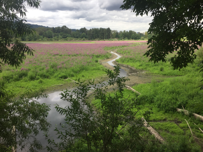 Oaks Bottom Wildlife Refuge