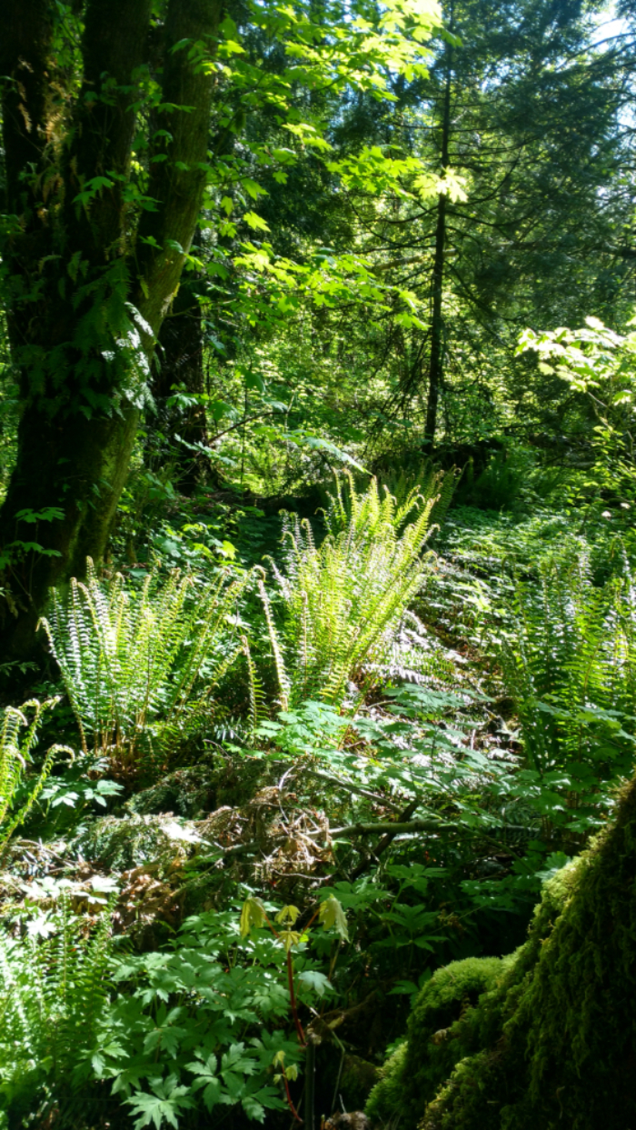 Tualatin Hills Nature Center