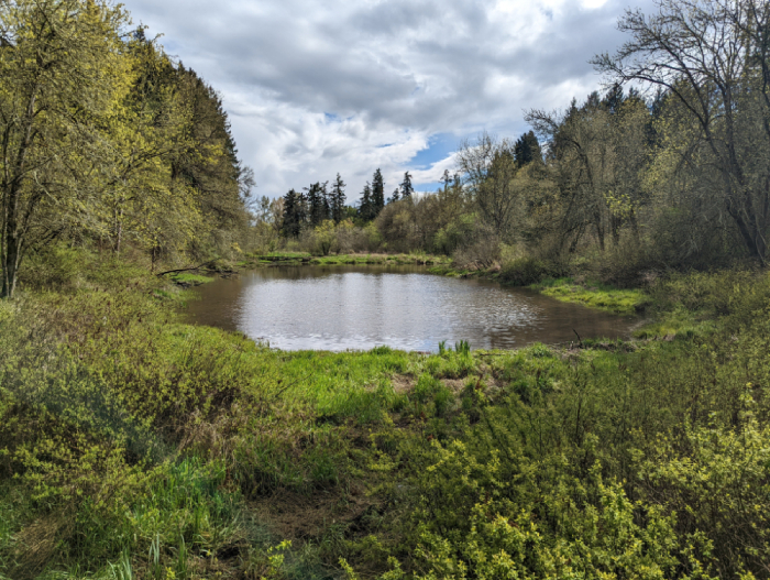 Tualatin Hills Nature Park