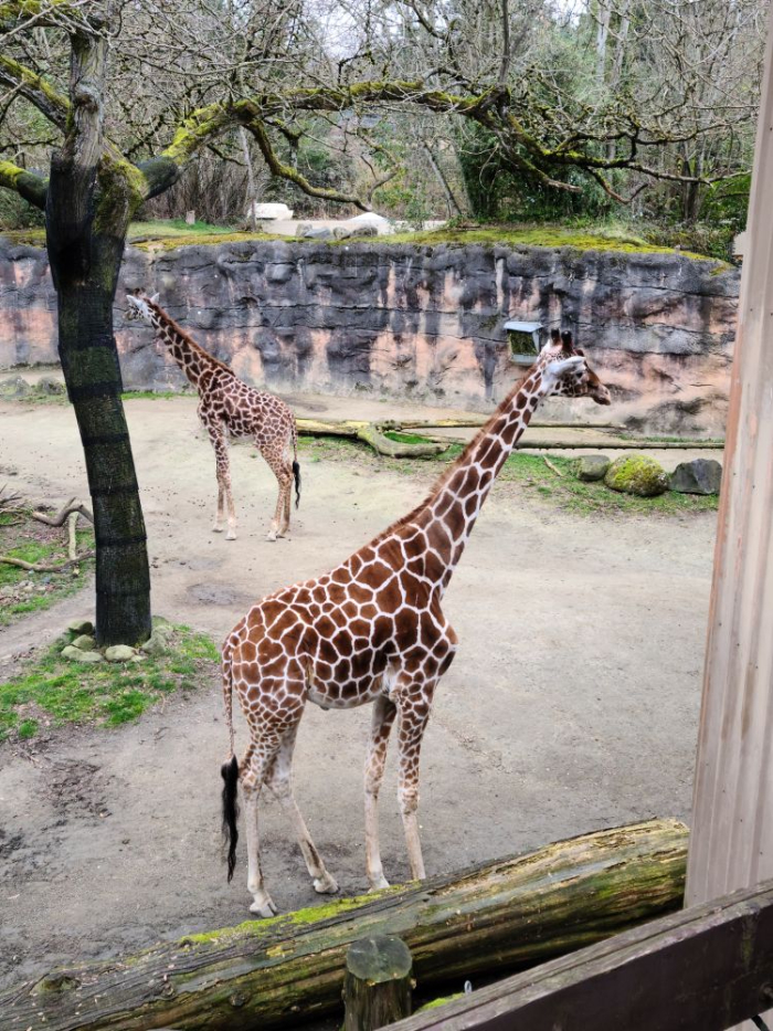 Oregon Zoo